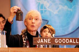 Jane Goodall holding a Cambodian peace bell.